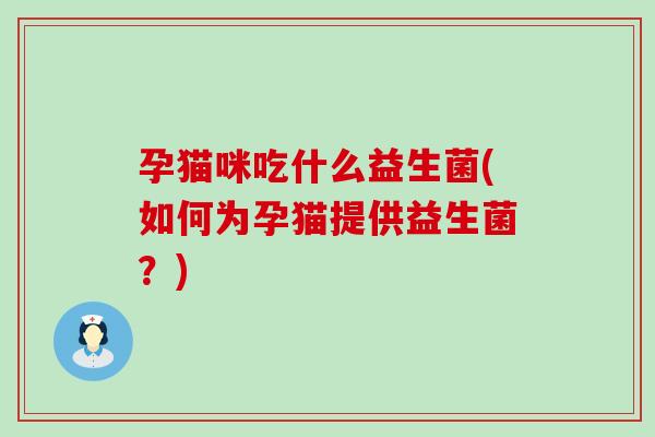 孕猫咪吃什么益生菌(如何为孕猫提供益生菌？)