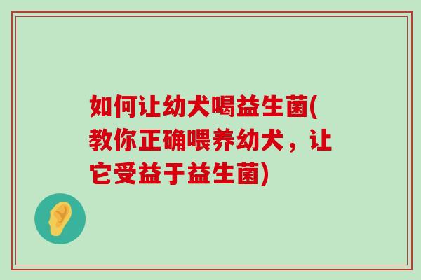 如何让幼犬喝益生菌(教你正确喂养幼犬，让它受益于益生菌)