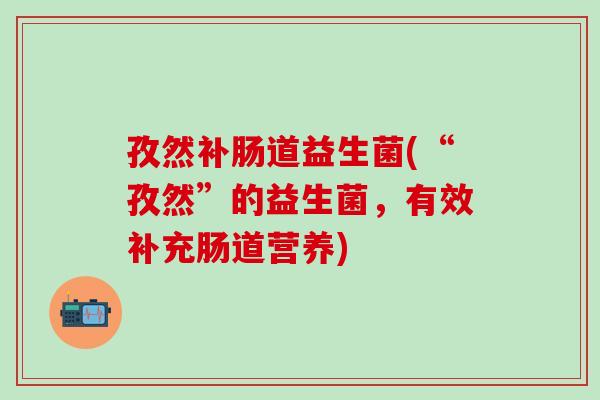 孜然补肠道益生菌(“孜然”的益生菌，有效补充肠道营养)