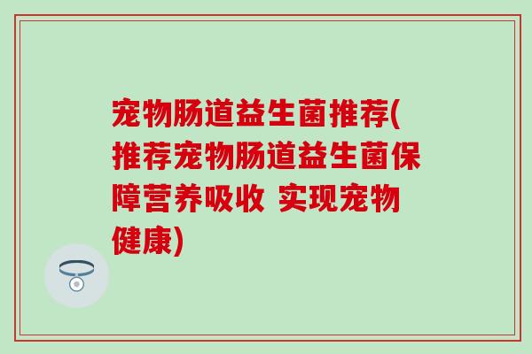 宠物肠道益生菌推荐(推荐宠物肠道益生菌保障营养吸收 实现宠物健康)