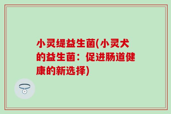 小灵缇益生菌(小灵犬的益生菌：促进肠道健康的新选择)