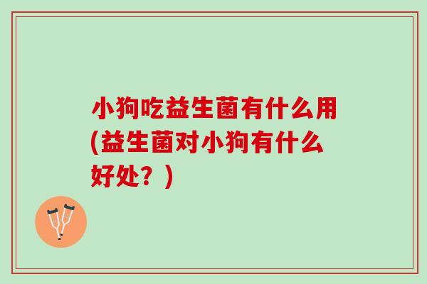 小狗吃益生菌有什么用(益生菌对小狗有什么好处？)