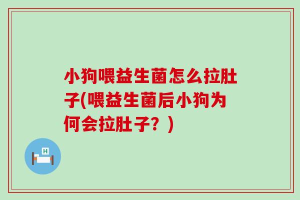 小狗喂益生菌怎么拉肚子(喂益生菌后小狗为何会拉肚子？)