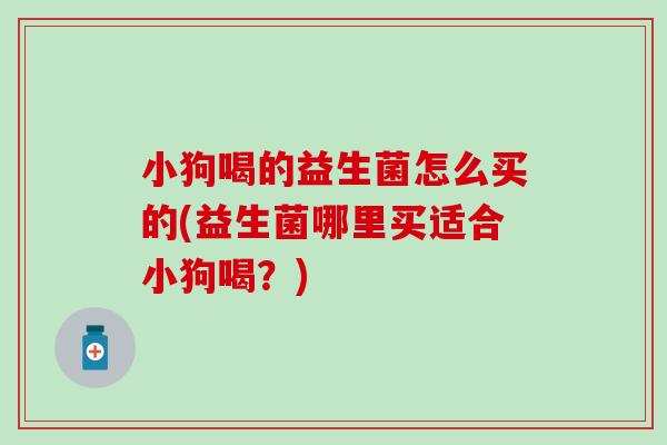 小狗喝的益生菌怎么买的(益生菌哪里买适合小狗喝?) 小狗喝的益生菌怎么买的(益生菌哪里买适合小狗喝?)