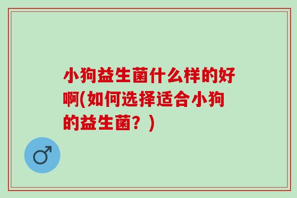 小狗益生菌什么样的好啊(如何选择适合小狗的益生菌？)
