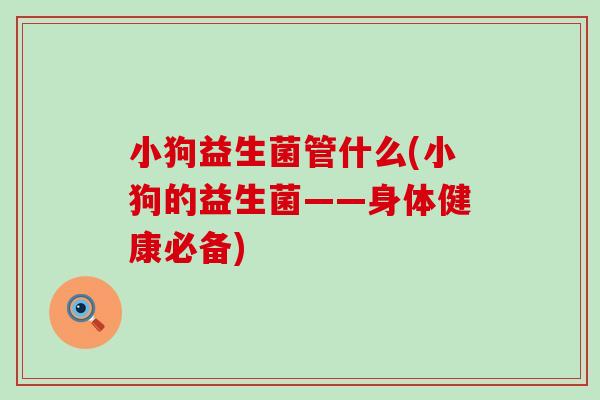 小狗益生菌管什么(小狗的益生菌——身体健康必备) 小狗益生菌管什么(小狗的益生菌——身体健康必备)