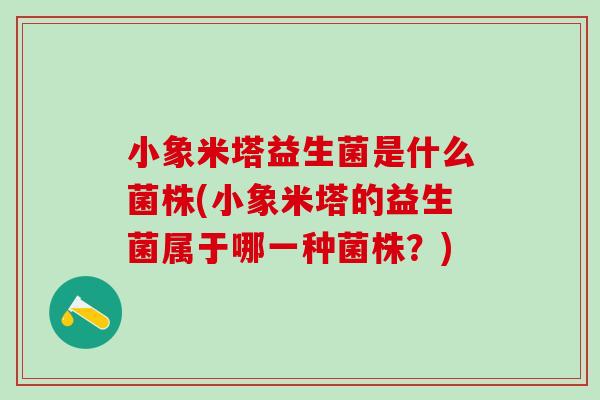 小象米塔益生菌是什么菌株(小象米塔的益生菌属于哪一种菌株？)
