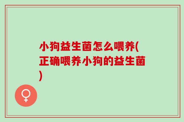 小狗益生菌怎么喂养(正确喂养小狗的益生菌)