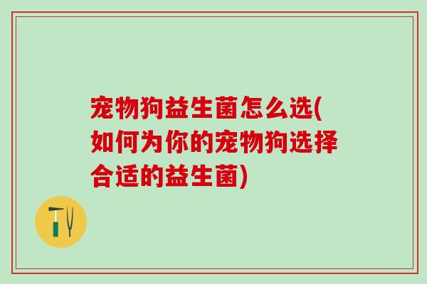 宠物狗益生菌怎么选(如何为你的宠物狗选择合适的益生菌)