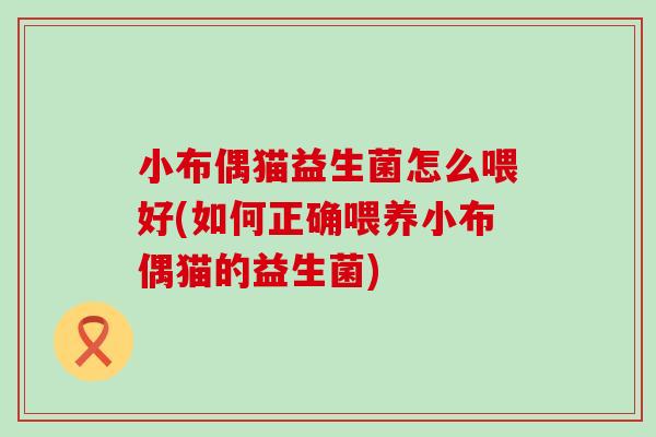 小布偶猫益生菌怎么喂好(如何正确喂养小布偶猫的益生菌) 小布偶猫益生菌怎么喂好(如何正确喂养小布偶猫的益生菌)