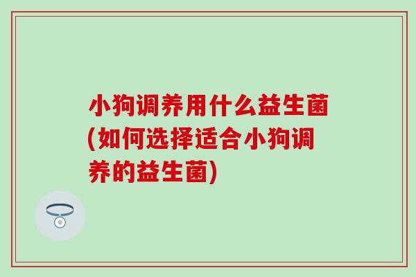 小狗调养用什么益生菌(如何选择适合小狗调养的益生菌) 小狗调养用什么益生菌(如何选择适合小狗调养的益生菌)