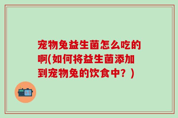 宠物兔益生菌怎么吃的啊(如何将益生菌添加到宠物兔的饮食中？)
