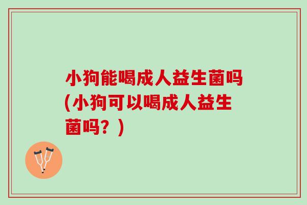 小狗能喝成人益生菌吗(小狗可以喝成人益生菌吗?) 小狗能喝成人益生菌吗(小狗可以喝成人益生菌吗?)