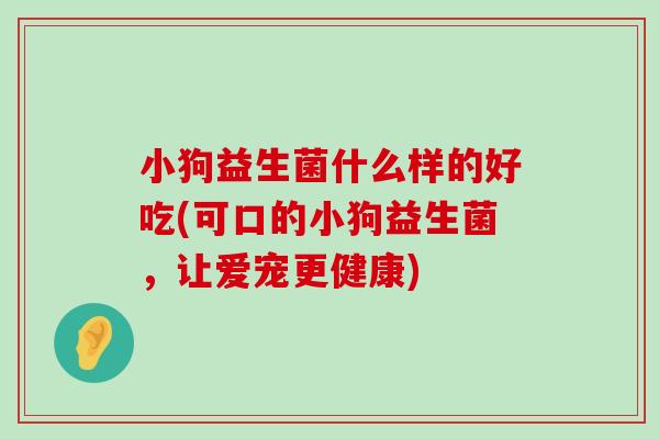小狗益生菌什么样的好吃(可口的小狗益生菌，让爱宠更健康)