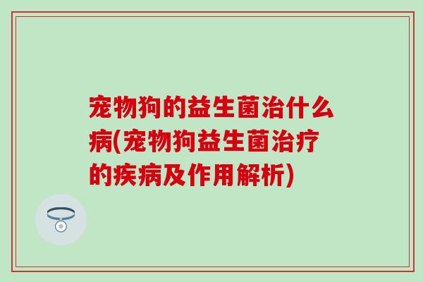 宠物狗的益生菌治什么病(宠物狗益生菌治疗的疾病及作用解析)