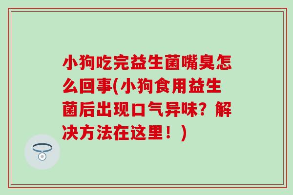 小狗吃完益生菌嘴臭怎么回事(小狗食用益生菌后出现口气异味？解决方法在这里！)
