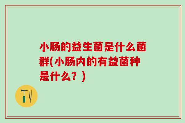 小肠的益生菌是什么菌群(小肠内的有益菌种是什么?) 小肠的益生菌是什么菌群(小肠内的有益菌种是什么?)