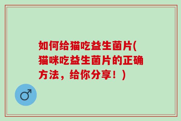如何给猫吃益生菌片(猫咪吃益生菌片的正确方法,给你分享!) 如何给猫吃益生菌片(猫咪吃益生菌片的正确方法,给你分享!)