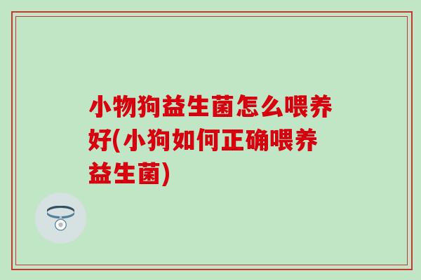 小物狗益生菌怎么喂养好(小狗如何正确喂养益生菌)