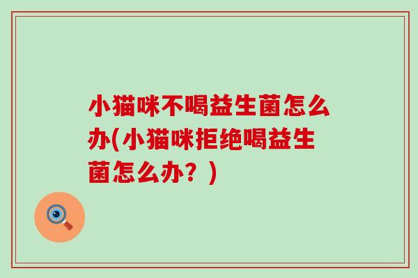 小猫咪不喝益生菌怎么办(小猫咪拒绝喝益生菌怎么办？)