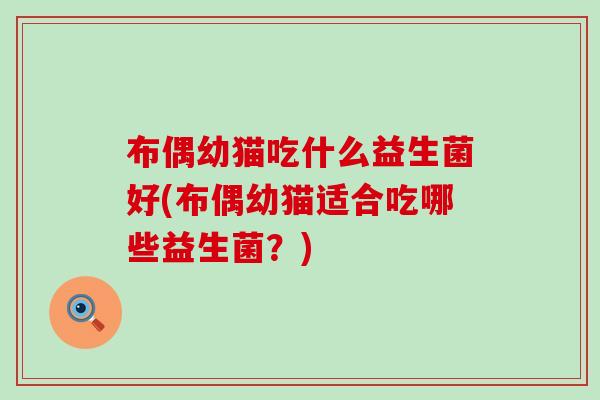 布偶幼猫吃什么益生菌好(布偶幼猫适合吃哪些益生菌？)
