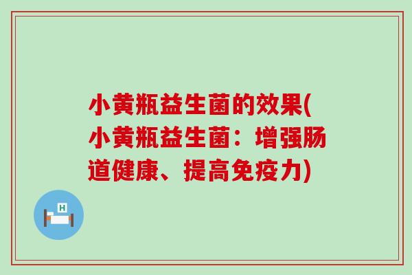 小黄瓶益生菌的效果(小黄瓶益生菌：增强肠道健康、提高免疫力)