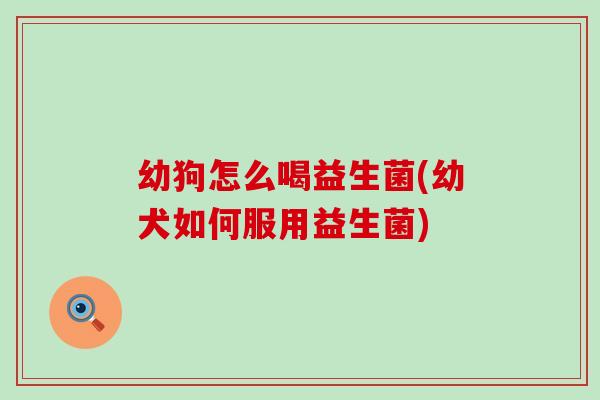 幼狗怎么喝益生菌(幼犬如何服用益生菌)