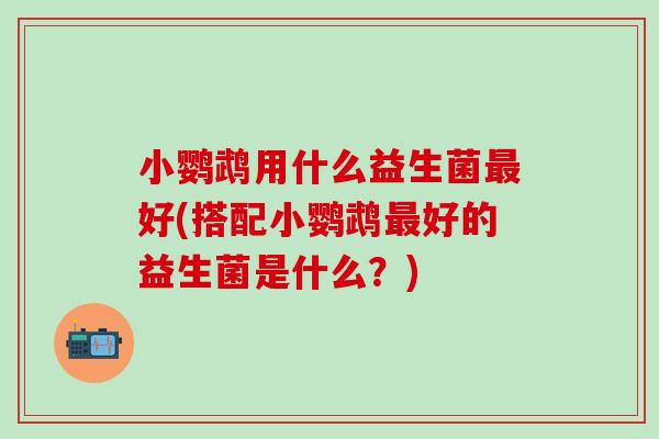 小鹦鹉用什么益生菌最好(搭配小鹦鹉最好的益生菌是什么？)