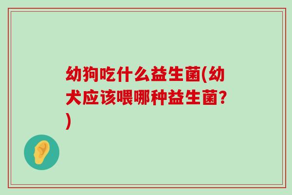 幼狗吃什么益生菌(幼犬应该喂哪种益生菌？)