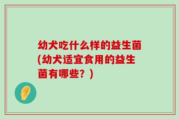 幼犬吃什么样的益生菌(幼犬适宜食用的益生菌有哪些？)