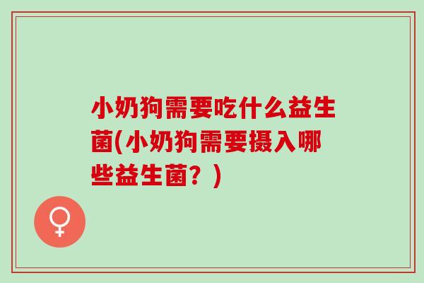 小奶狗需要吃什么益生菌(小奶狗需要摄入哪些益生菌?) 小奶狗需要吃什么益生菌(小奶狗需要摄入哪些益生菌?)