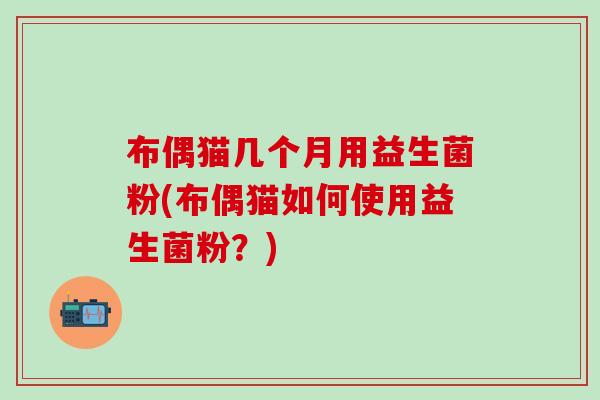 布偶猫几个月用益生菌粉(布偶猫如何使用益生菌粉？)