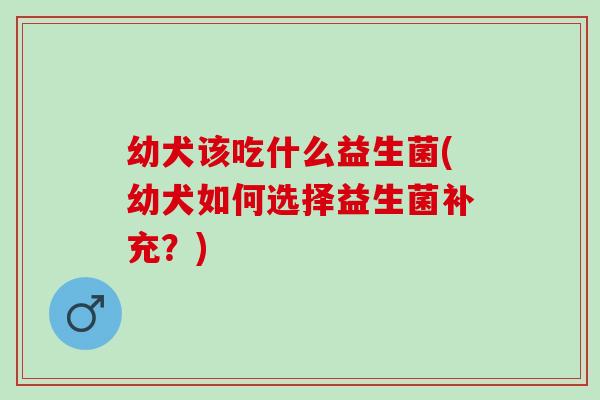 幼犬该吃什么益生菌(幼犬如何选择益生菌补充？)