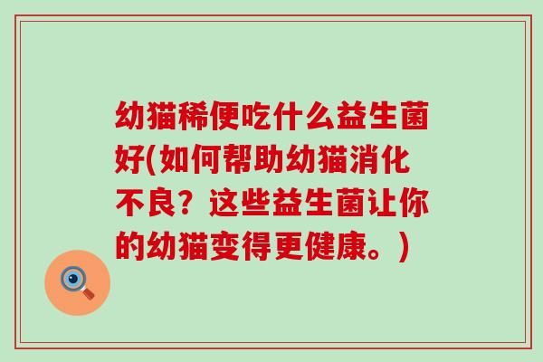 幼猫稀便吃什么益生菌好(如何帮助幼猫消化不良？这些益生菌让你的幼猫变得更健康。)