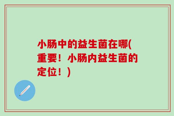 小肠中的益生菌在哪(重要！小肠内益生菌的定位！)