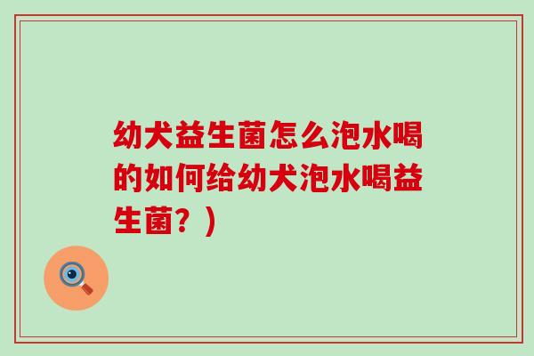 幼犬益生菌怎么泡水喝的如何给幼犬泡水喝益生菌？)