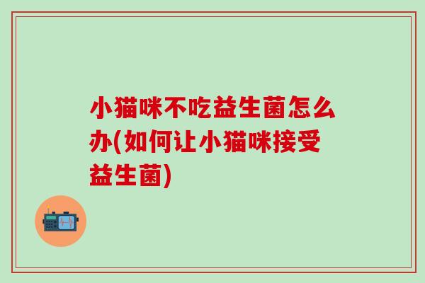 小猫咪不吃益生菌怎么办(如何让小猫咪接受益生菌)