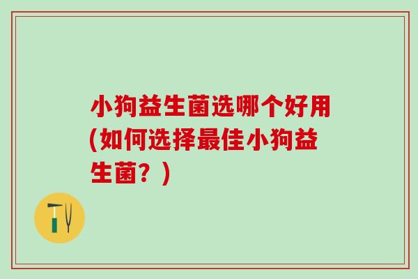 小狗益生菌选哪个好用(如何选择最佳小狗益生菌？)