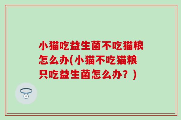 小猫吃益生菌不吃猫粮怎么办(小猫不吃猫粮只吃益生菌怎么办？)