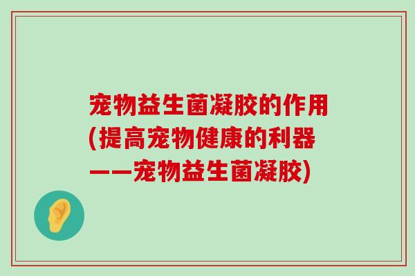 宠物益生菌凝胶的作用(提高宠物健康的利器——宠物益生菌凝胶)