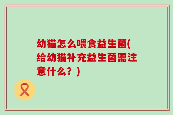 幼猫怎么喂食益生菌(给幼猫补充益生菌需注意什么？)