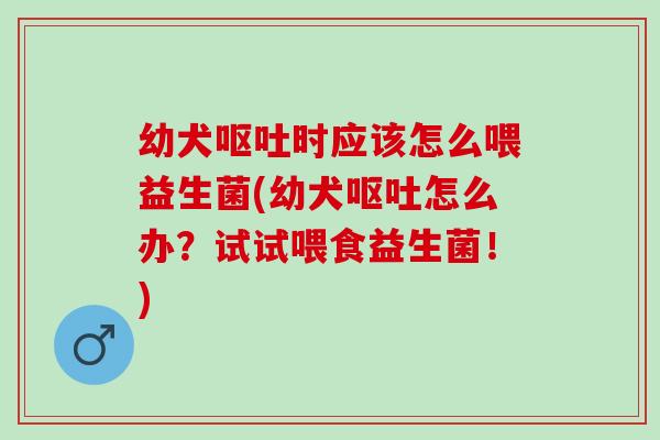 幼犬呕吐时应该怎么喂益生菌(幼犬呕吐怎么办？试试喂食益生菌！)