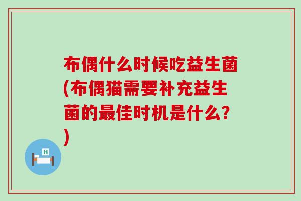 布偶什么时候吃益生菌(布偶猫需要补充益生菌的佳时机是什么？)