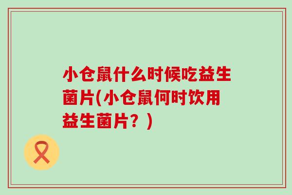小仓鼠什么时候吃益生菌片(小仓鼠何时饮用益生菌片？)