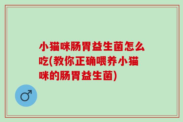 小猫咪肠胃益生菌怎么吃(教你正确喂养小猫咪的肠胃益生菌)
