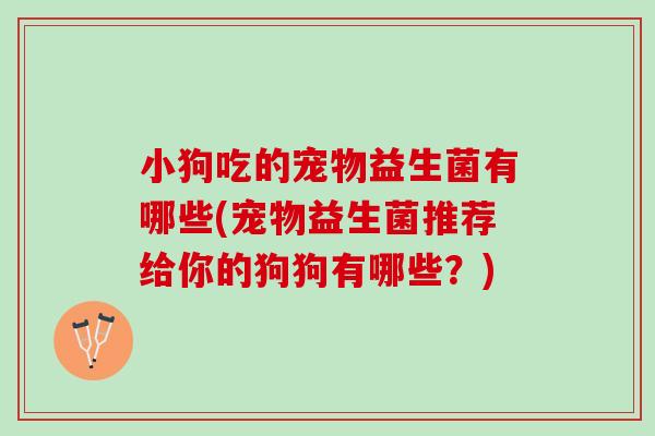 小狗吃的宠物益生菌有哪些(宠物益生菌推荐给你的狗狗有哪些？)