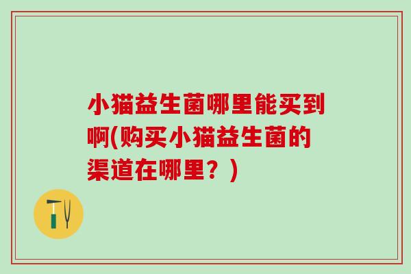 小猫益生菌哪里能买到啊(购买小猫益生菌的渠道在哪里？)