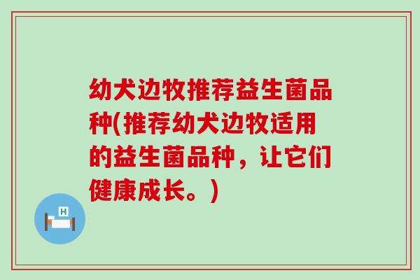 幼犬边牧推荐益生菌品种(推荐幼犬边牧适用的益生菌品种,让它们健康成长。) 幼犬边牧推荐益生菌品种(推荐幼犬边牧适用的益生菌品种,让它们健康成长。)