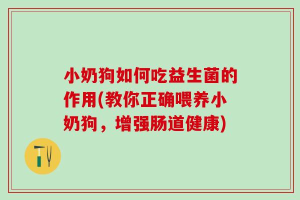 小奶狗如何吃益生菌的作用(教你正确喂养小奶狗，增强肠道健康)