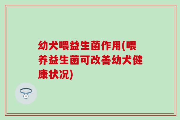幼犬喂益生菌作用(喂养益生菌可改善幼犬健康状况) 幼犬喂益生菌作用(喂养益生菌可改善幼犬健康状况)